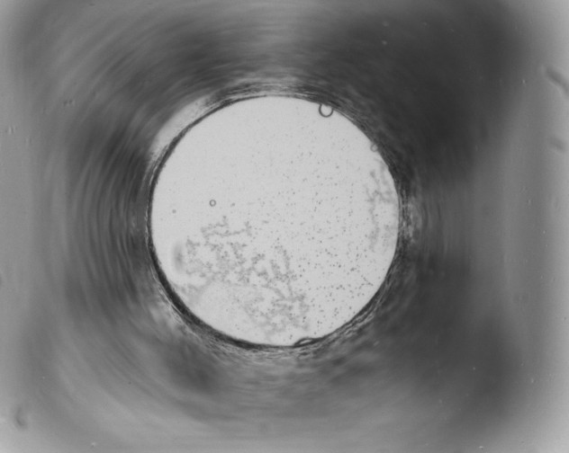 X0000103970004200810171936