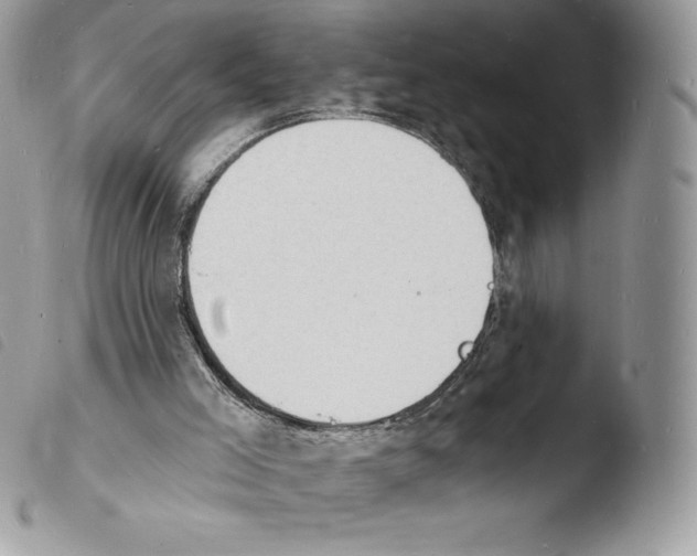 X0000103970005200810171936