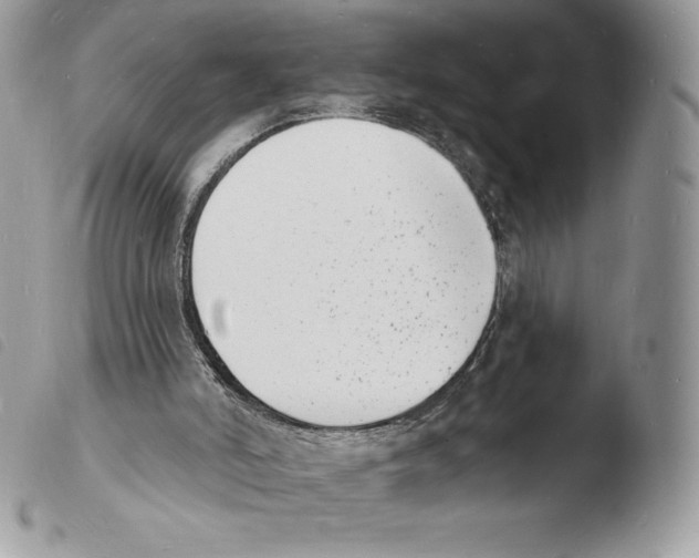 X0000103970006200810171936