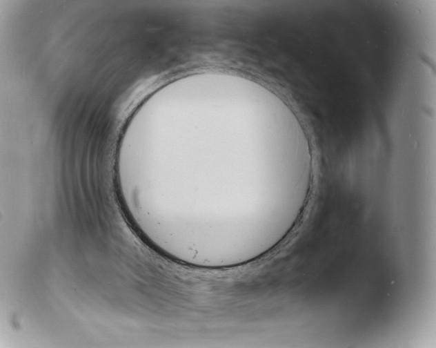 X0000103970007200810171936