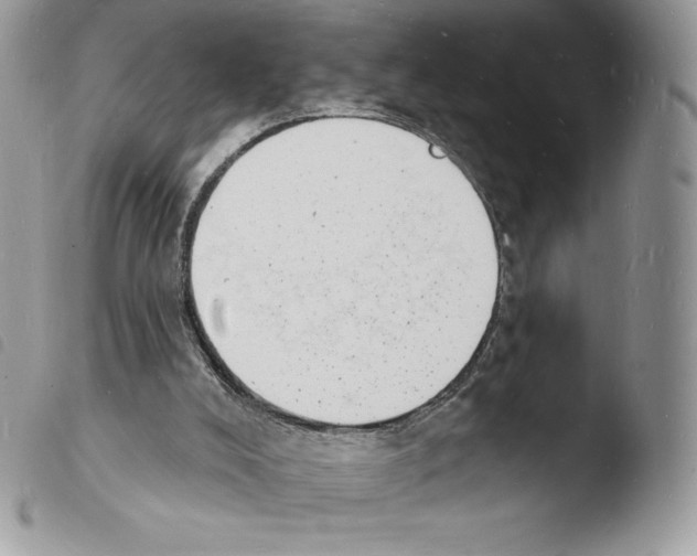 X0000103970008200810171936