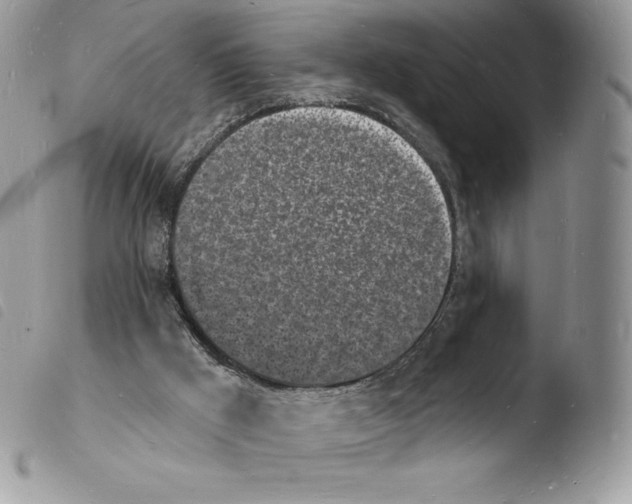 X0000103970009200810171936