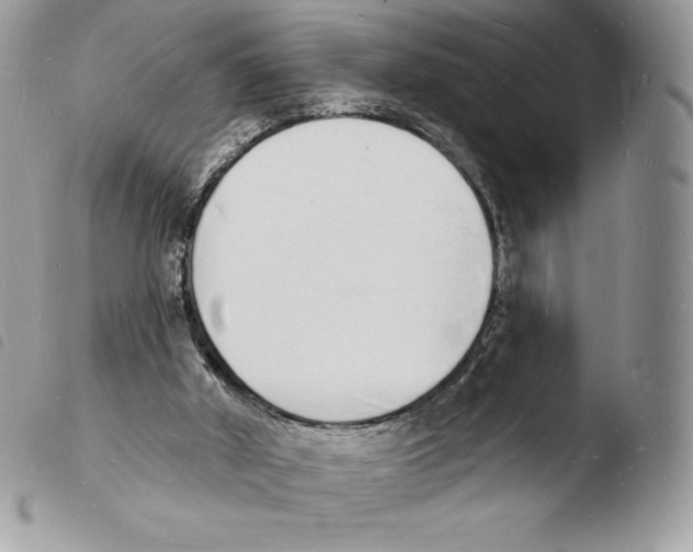 X0000103970010200810171936