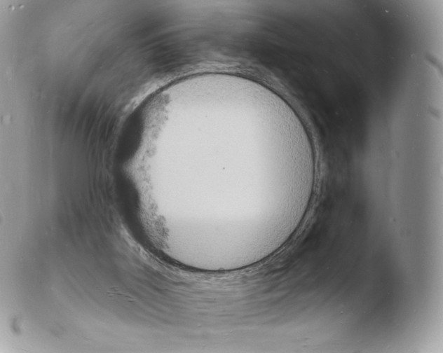 X0000103970011200810171936