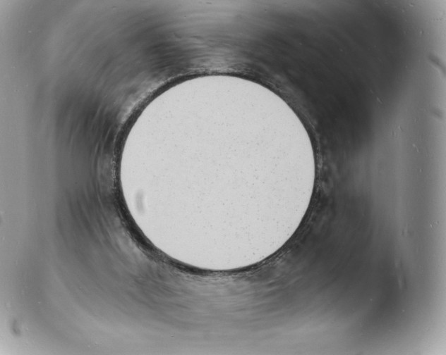 X0000103970012200810171936