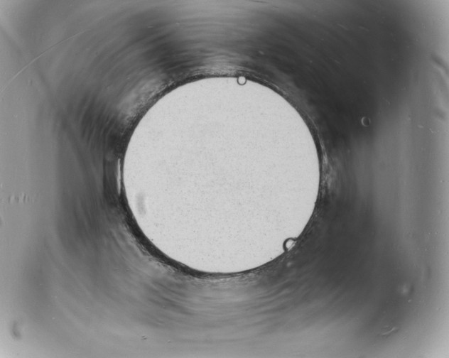 X0000103970013200810171936
