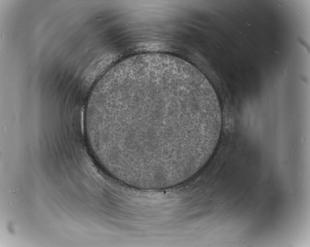 X0000103970014200810171936