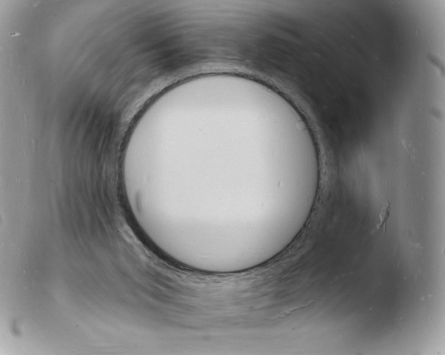 X0000103970015200810171936