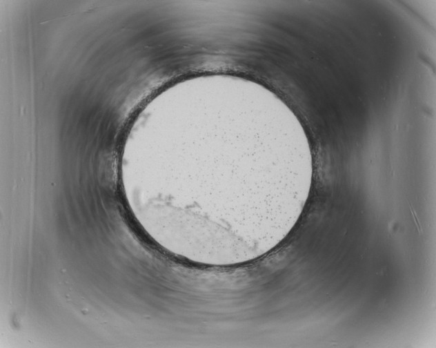 X0000103970016200810171935