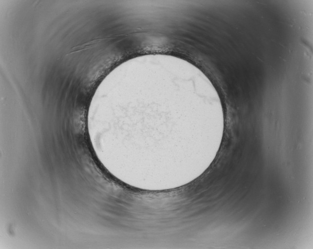X0000103970017200810171935