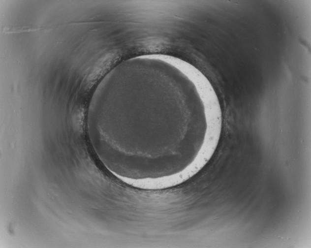 X0000103970018200810171935