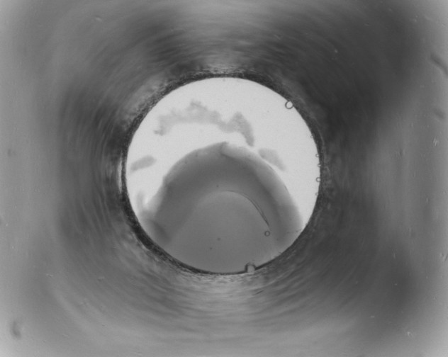X0000103970019200810171935