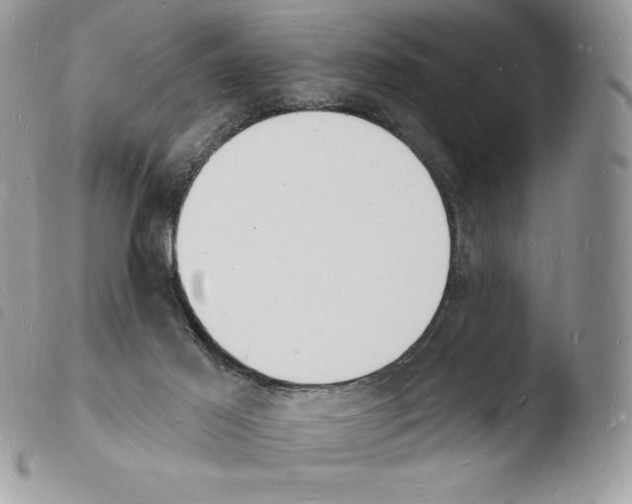 X0000103970021200810171935