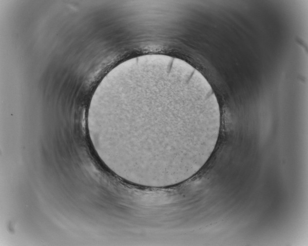 X0000103970024200810171935