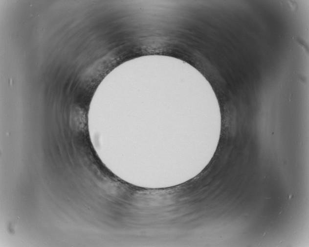 X0000103970025200810171935