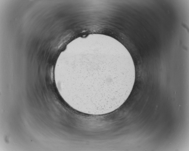 X0000103970028200810171935