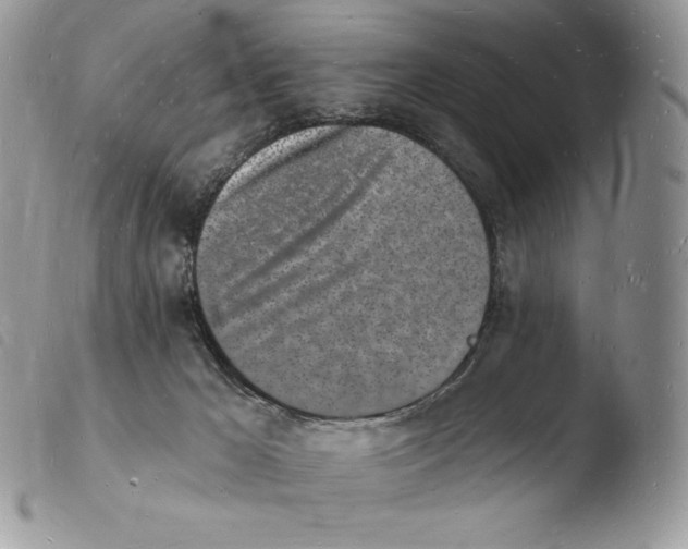 X0000103970029200810171935