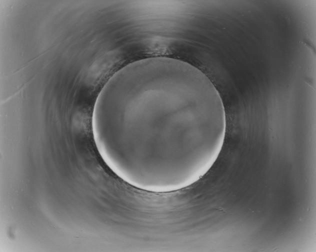 X0000103970035200810171935