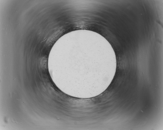 X0000103970036200810171935