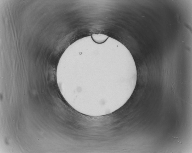 X0000103970038200810171935