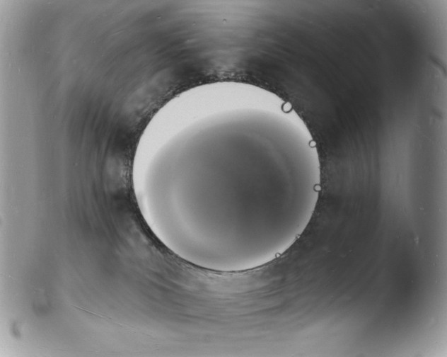 X0000103970039200810171935