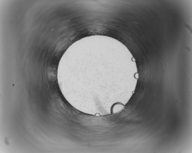 X0000103970040200810171935