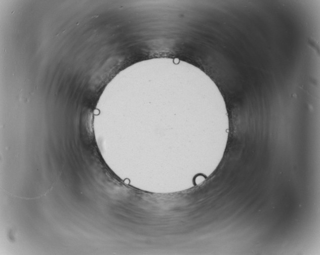X0000103970041200810171935