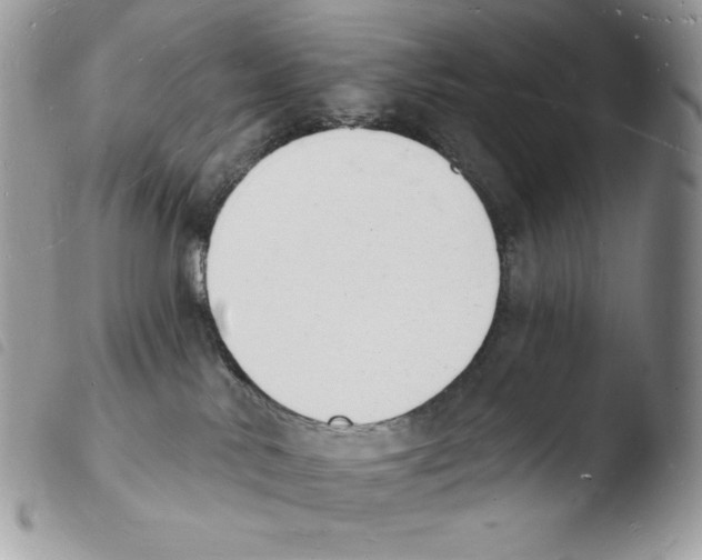 X0000103970042200810171935