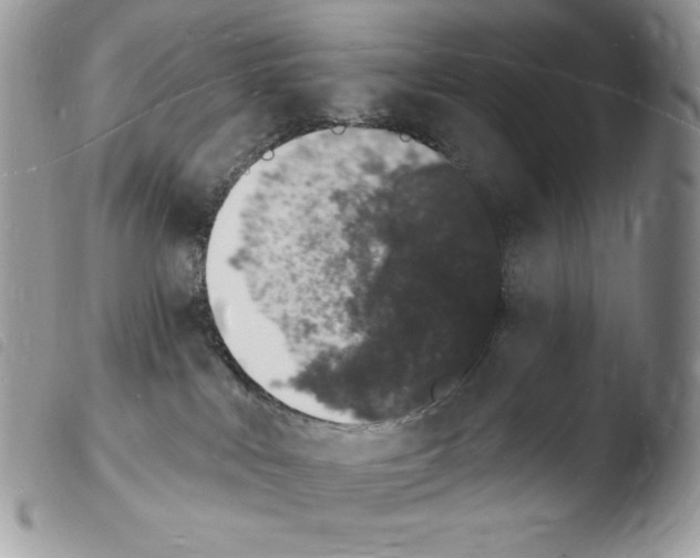 X0000103970043200810171935