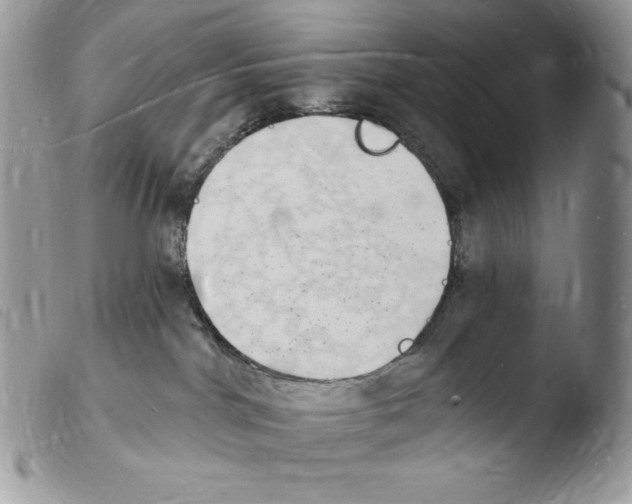 X0000103970044200810171935