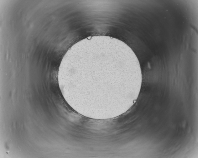 X0000103970045200810171935