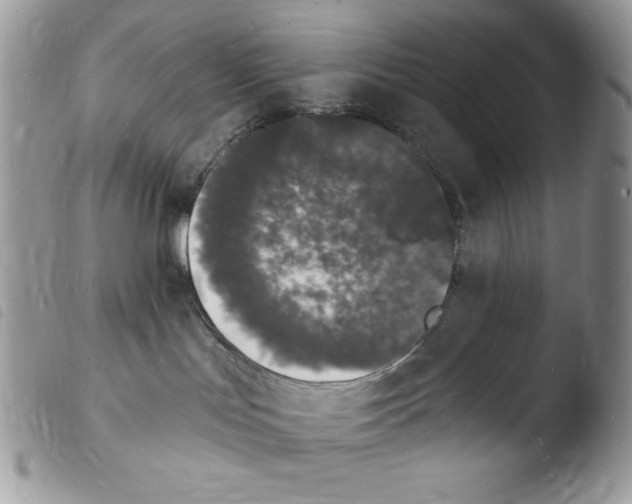 X0000103970047200810171935