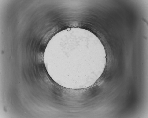 X0000103970048200810171935