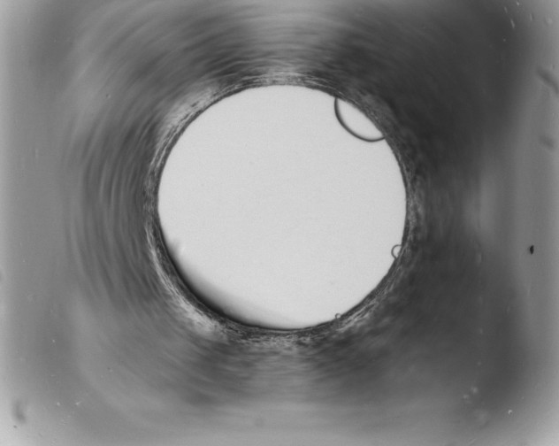 X0000103970049200810171934