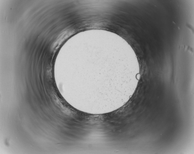 X0000103970050200810171934