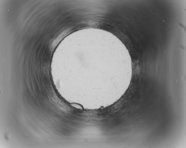 X0000103970051200810171934