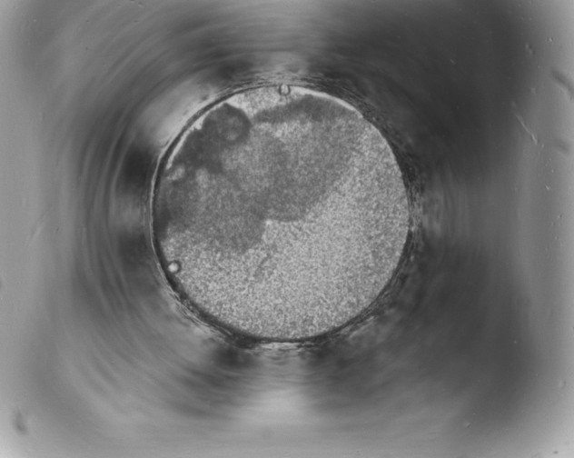 X0000103970052200810171934