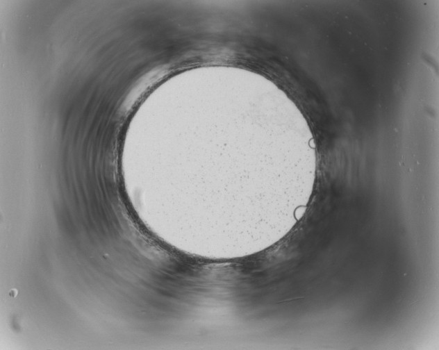 X0000103970054200810171934