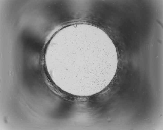 X0000103970056200810171934