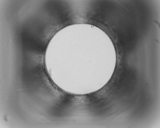 X0000103970057200810171934