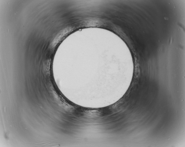 X0000103970058200810171935