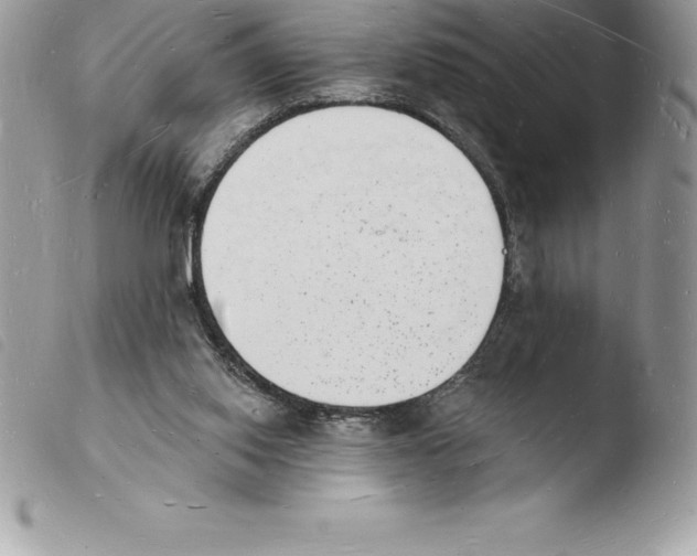 X0000103970062200810171935