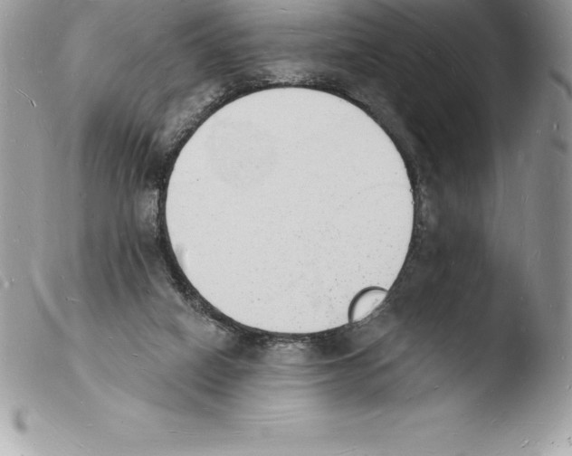 X0000103970066200810171935