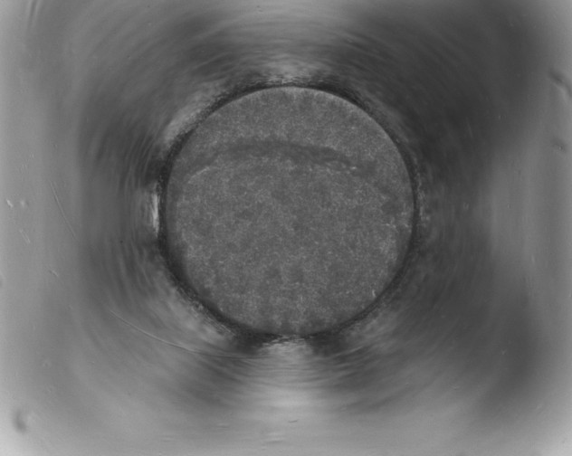 X0000103970067200810171935
