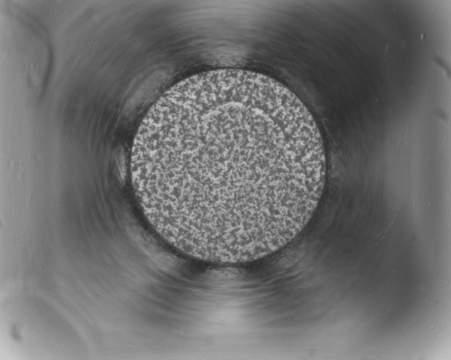 X0000103970069200810171935