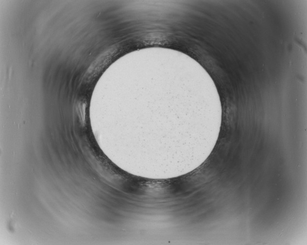 X0000103970070200810171935