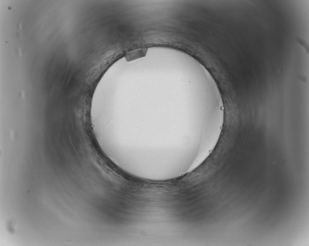 X0000103970072200810171935