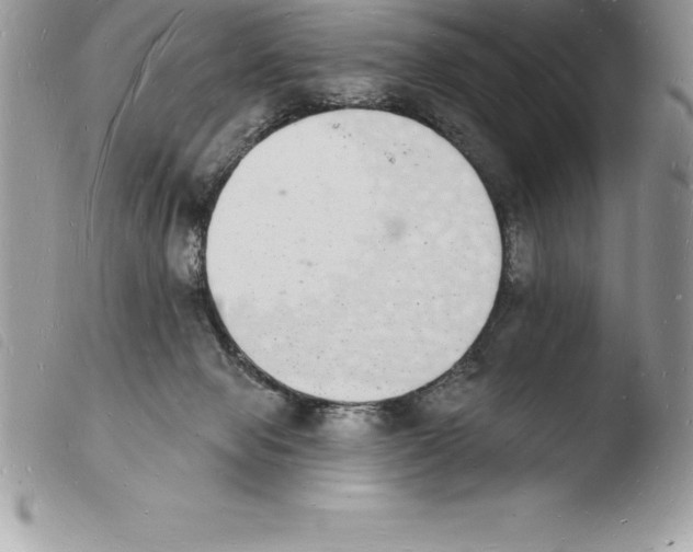 X0000103970077200810171935