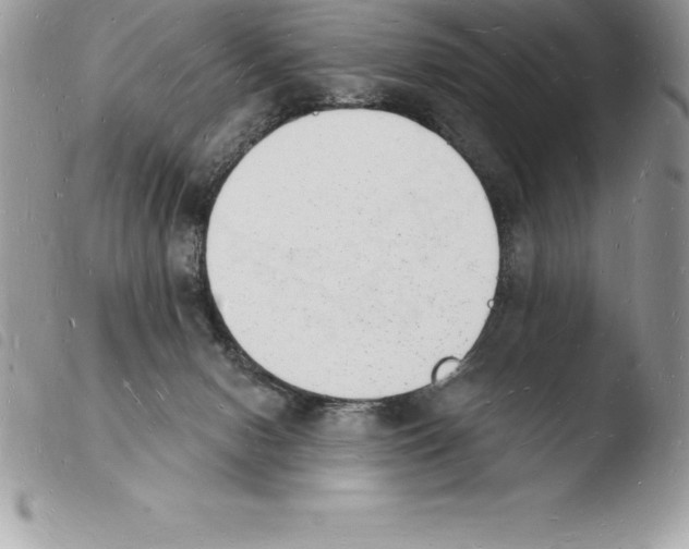 X0000103970078200810171935