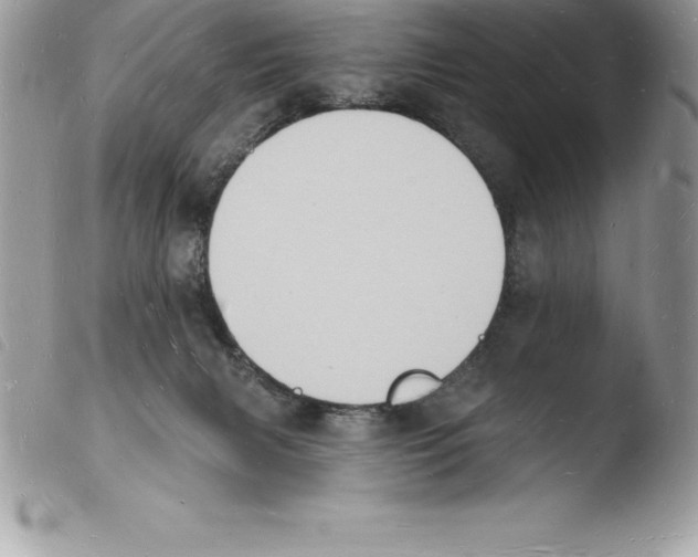 X0000103970079200810171935